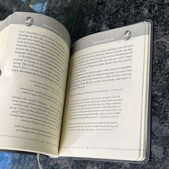 Jesus Calling: 365 Daily Devotional, by Sarah Young, Thomas Nelson 2011 GUC - Picture 12 of 16